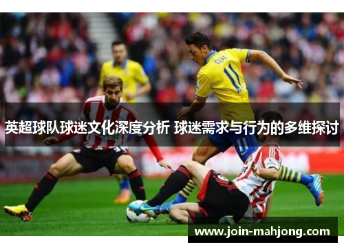 英超球队球迷文化深度分析 球迷需求与行为的多维探讨